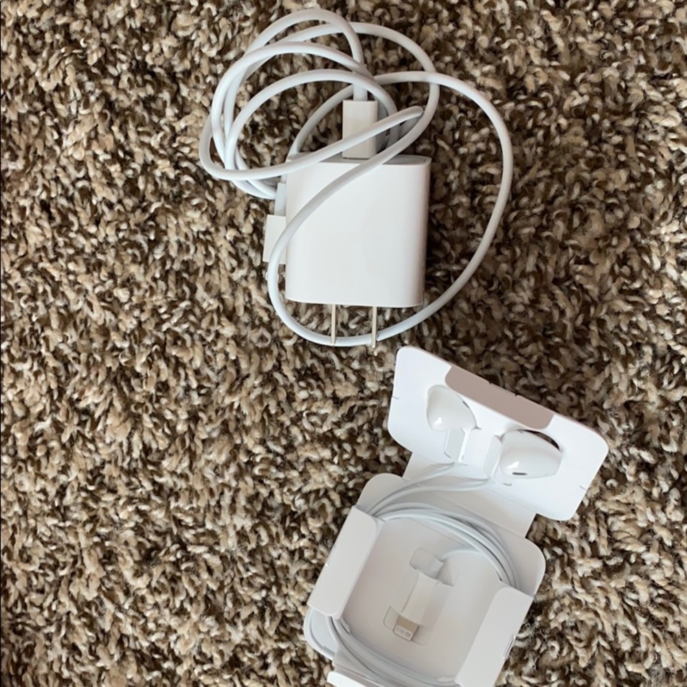 iPhone charger and earphones